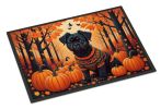 NEW Affenpinscher Fall Doormat Front Door Mat Indoor Outdoor Rugs for Entryway, Non Slip Washable Low Pile, 18H X 27W