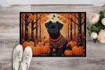 NEW Affenpinscher Fall Doormat Front Door Mat Indoor Outdoor Rugs for Entryway, Non Slip Washable Low Pile, 18H X 27W