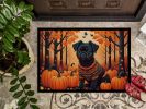 NEW Affenpinscher Fall Doormat Front Door Mat Indoor Outdoor Rugs for Entryway, Non Slip Washable Low Pile, 18H X 27W