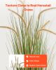 Artificial Grass Plant, 2 Pack 47 inch Horsetail Reed Grass in Pot